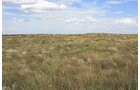 Property photo 49 - LAND AUCTION, 3255+/- Acres offered in 13 Tracts